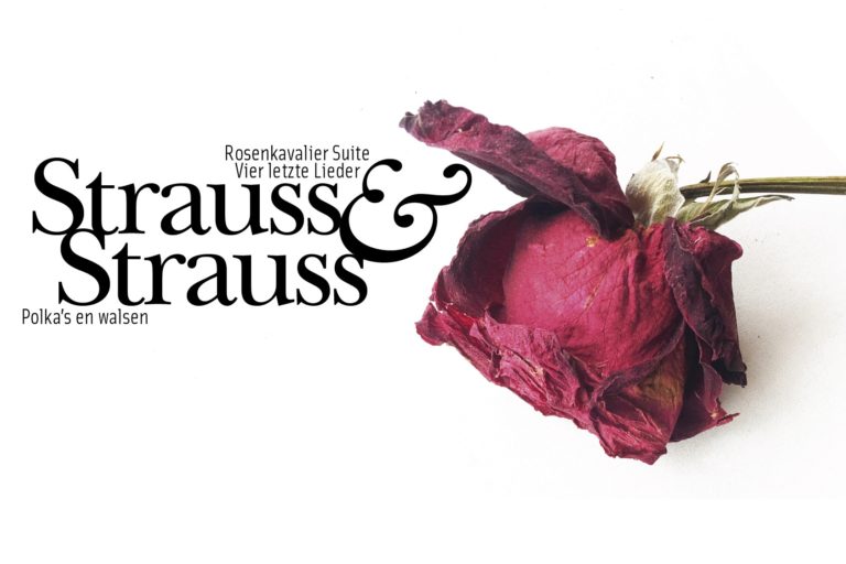 Strauss & Strauss